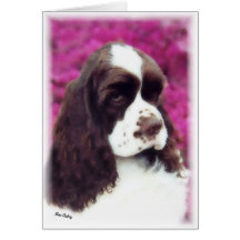 Brown & white Cocker puppy card