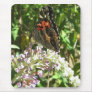 Brown with red spots Butterfly  IMG_1556 Mousepads