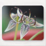 Brownie, California native flower - Mousepad