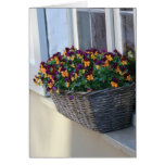 Bruges Beauty Greeting Cards