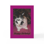 Brunny Washing Birthday Card