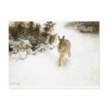Bruno Liljefor - Winter Hare Rabbit Bunny Snow Oil postcards