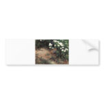Bruno Liljefors - Partridge w/ Daisies 1890 bird bumper stickers