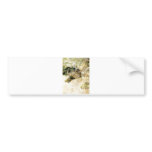 Bruno Liljefors - Sleeping Jeppe 1886  Cat Kitten bumper stickers