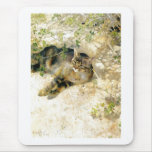 Bruno Liljefors - Sleeping Jeppe 1886  Cat Kitten Mousepad