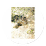 Bruno Liljefors - Sleeping Jeppe 1886  Cat Kitten Round Sticker