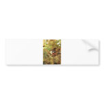Bruno Liljefors - Weasel w/ Chaffinch 1888 Oil bumper stickers
