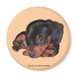 Bruno Magnet