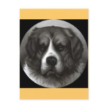 Bruno Postcard
