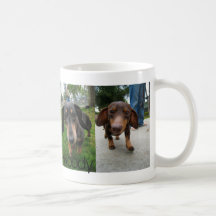 Bruno & Woody Mugs