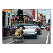 Brunswick Street Passenger Greeting Cards