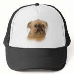 Brussel Griffon Portrait hats
