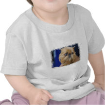 brussels-griffon-4.jpg tee shirts
