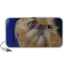 Brussels Griffon Dog  Speakers