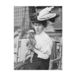 Brussels Griffon, early 1900s Postcards