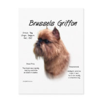 Brussels Griffon (rough) History Design