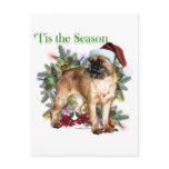 Brussels Griffon Tis the Season postcards