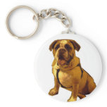 Brutus-Bulldog keychains