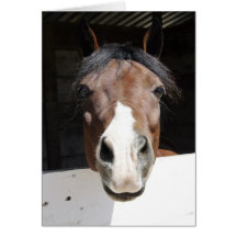 Brwon and white horse in barn greeting card