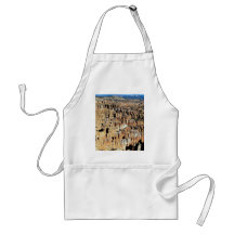 Bryce Amphitheatre, Bryce Canyon National Park, Ut Apron