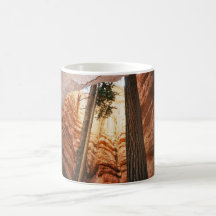 Bryce Canyon 2 Mug