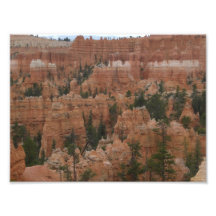 Bryce Canyon 5 Photograph