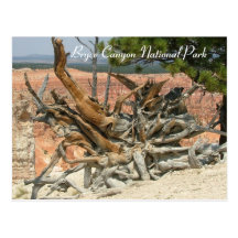 Bryce Canyon National Park Postcards