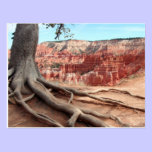 Bryce Canyon Postcard postcards