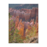Bryce