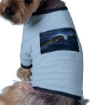 Bryde's whale pet clothing