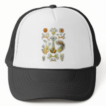 Bryozoa Trucker Hats