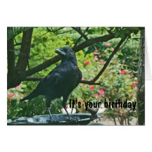 BT- Funy Crow Birthday Card
