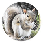 BU- fun squirrel stickers
