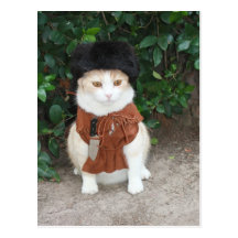 Bubba Bowie 3 Post Card