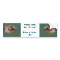 Bubba the Orange Tabby Tomcat Bumper Stickers