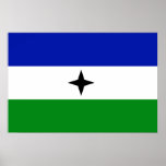 Bubi Nationalist, El Salvador flag posters