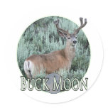 buck moon round sticker