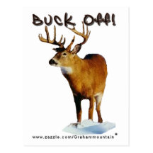Buck Off! Postcard