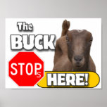BUCK STOPS HERE! GOAT HUMOR - PUN - FUNNY POSTER posters