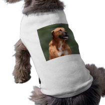 Buck the Dog Sweater Top
