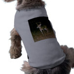 Buck White Tail Deer Doggie T Shirt