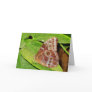 Buckeye Butterfly Greeting Card Nature Photo