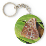 Buckeye Butterfly Key Chain