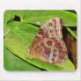 Buckeye Butterfly Mousepad