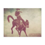 Bucking Bronco Postcards