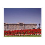 Buckingham Palace, London, England flowers postcards