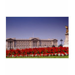 Buckingham Palace, London, England flowers t-shirts