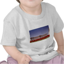 Buckingham Palace, London, England flowers T Shirts