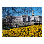 Buckingham Palace, London  flowers Post Cards
