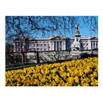 Buckingham Palace, London  flowers postcards